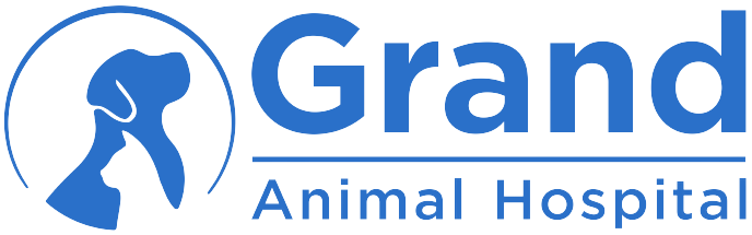 Grand Animal Hospital Home